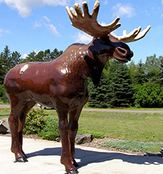 Large garden wild animal life size moose statue